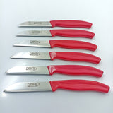 Fruit Knife Set    kk1010