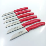 Fruit Knife Set    kk1010