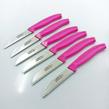 Fruit Knife Set    kk1010