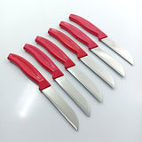 Fruit Knife Set    kk1010